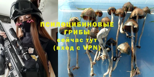 марки nbome Лагань