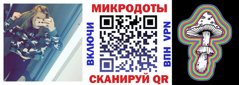 Купить где  Игарка  Псилоцибиновые грибы Cubensis 